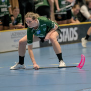 2025-03-20-Fristad-Frojered_0029