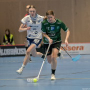 2025-03-20-Fristad-Frojered_0030