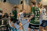 2025-03-20-Fristad-Frojered_0031