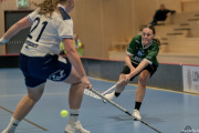 2025-03-20-Fristad-Frojered_0034