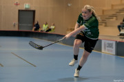 2025-03-20-Fristad-Frojered_0035