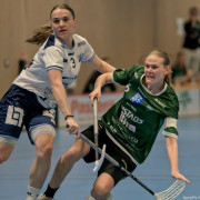 2025-03-20-Fristad-Frojered_0038