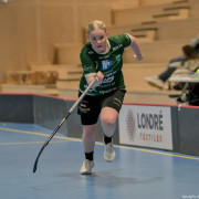 2025-03-20-Fristad-Frojered_0040