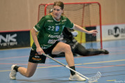 2025-03-20-Fristad-Frojered_0047