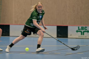 2025-03-20-Fristad-Frojered_0048