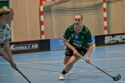 2025-03-20-Fristad-Frojered_0050