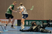 2025-03-20-Fristad-Frojered_0051
