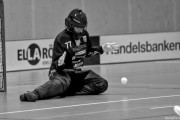 2025-03-20-Fristad-Frojered_0053