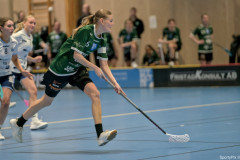 2025-03-20-Fristad-Frojered_0002
