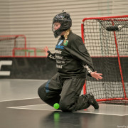 2025-03-21-Pixbo-Fristad_0002