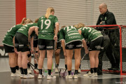 2025-03-21-Pixbo-Fristad_0003
