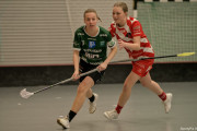 2025-03-21-Pixbo-Fristad_0005