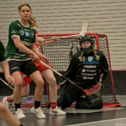 2025-03-21-Pixbo-Fristad_0006
