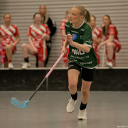 2025-03-21-Pixbo-Fristad_0008