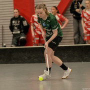 2025-03-21-Pixbo-Fristad_0010