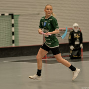 2025-03-21-Pixbo-Fristad_0013