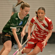 2025-03-21-Pixbo-Fristad_0015