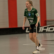 2025-03-21-Pixbo-Fristad_0016
