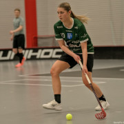 2025-03-21-Pixbo-Fristad_0017