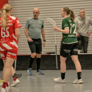 2025-03-21-Pixbo-Fristad_0018