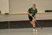 2025-03-21-Pixbo-Fristad_0020