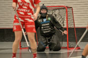 2025-03-21-Pixbo-Fristad_0021