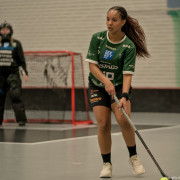 2025-03-21-Pixbo-Fristad_0022