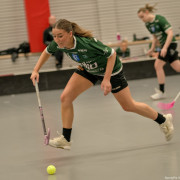 2025-03-21-Pixbo-Fristad_0023