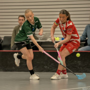 2025-03-21-Pixbo-Fristad_0025