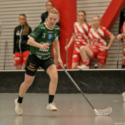 2025-03-21-Pixbo-Fristad_0028