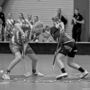 2025-03-21-Pixbo-Fristad_0030