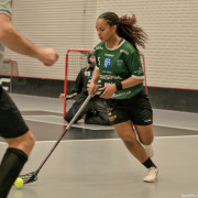 2025-03-21-Pixbo-Fristad_0031