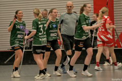2025-03-21-Pixbo-Fristad_0019