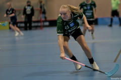 2025-03-23-Fristad-Ale_0001