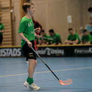 2025-03-29-Fristad-varnhem_0004