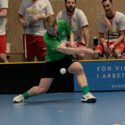 2025-03-29-Fristad-varnhem_0013