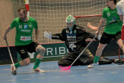 2025-03-29-Fristad-varnhem_0045