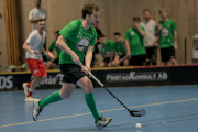 2025-03-29-Fristad-varnhem_0047