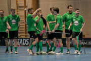 2025-03-29-Fristad-varnhem_0061