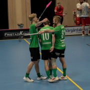 2025-03-29-Fristad-varnhem_0067