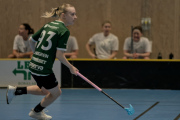 2025-03-30-Fristad-Buras_0002