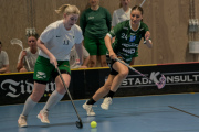 2025-03-30-Fristad-Buras_0006