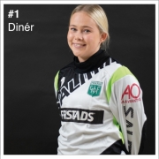 #1 Diner