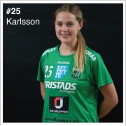 #25 Karlsson