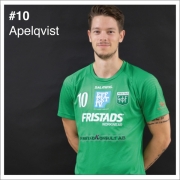 10_Apelqvist