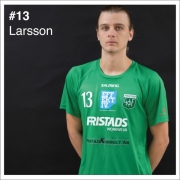 13_Larsson