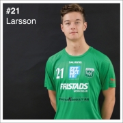 21_Larsson