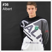 36_albert