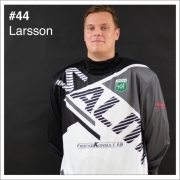 44_Larsson