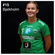 15_bjelkholm